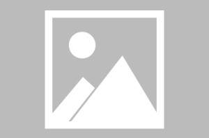 万博官方网站-莫兰特泸州老窖天府中学悬念揭晓，当东方酒城遇见NBA青春风暴，泸州老窖天府中学见证，莫兰特东方酒城掀起NBA青春风暴